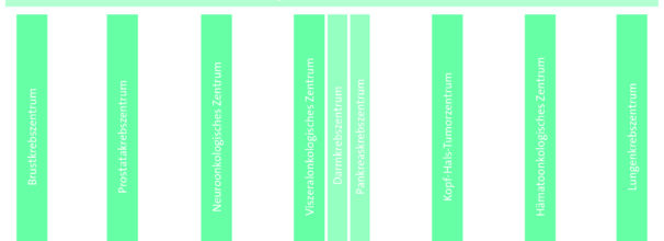 Organigramm des Zentrums für Interdisziplinäre Medizin